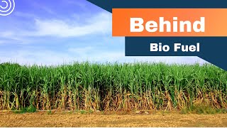 Behind Bio Fuels: The "Green" future?