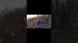 Mahindra 265 #viral #shortsvideo #trending #shorts #mahindra