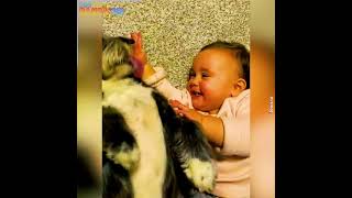 When Animals Become Close Friends With Babies