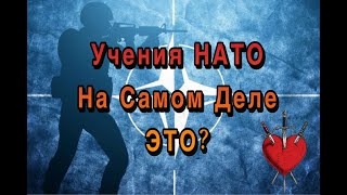 НАТО Учения! Для чего нужны на самом деле? Эксперт Таро