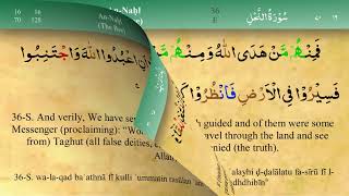 016 Surah An Nahl with Tajweed by Mishary Al Afasy