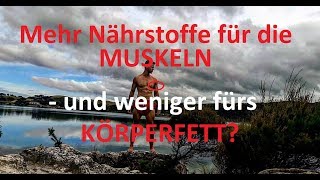 Insulinsensitivität verbessern | Nährstoffabsorbtion verschieben | weniger Körperfett, mehr Muskeln