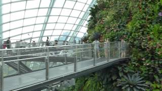 Cloud Forest Singapore