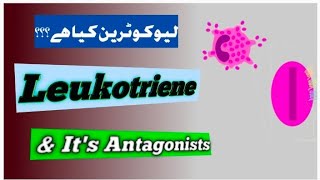 leukotriene receptor antagonists