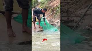 Real Life 100% Net Fishing In River At The Countryside.(Episode 189)