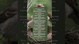 Будем мы внимательны друг к другу Анна Юркин@ стих