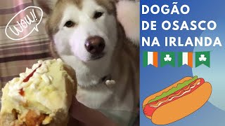 COMO FAZER CACHORRO QUENTE OSASQUENSE NA IRLANDA | DICAS