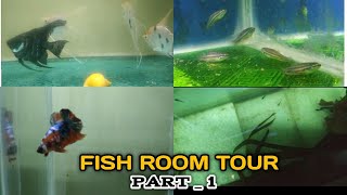 MY FISH ROOM TOUR | EXOTIC COLLECTION | TAMIL | TRICHY AQUATICS # PART _ 1