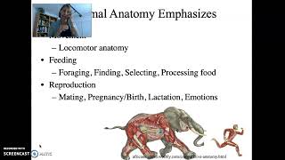 Anatomy and Physiology Major Themes