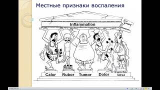 9:50-11:20 Патофизиология воспаления