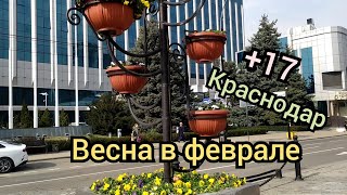 Неужели ВЕСНА🌹 в феврале? +17 Переезд в Краснодар февраль 2022