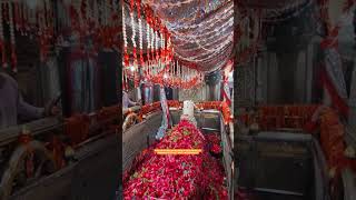 MIRA DATAR DARAGH UNJHA +91 9624992184 #sajjada_nasin_dargah_sharif #dargah_office_10 #subscribe