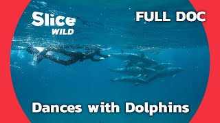 Dances With Dolphins | SLICE WILD | FULL DOC