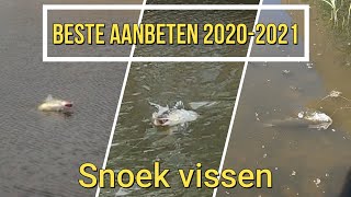 De BESTE snoek aanbeten van 2020-2021! / The BEST pike strikes of 2020-2021