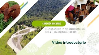 Video 2 Curso FAO - ICREATIVA. Introducción.