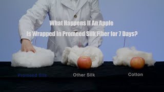 What Happens If An Apple Is Wrapped In Silk Fiber for 7 Days?