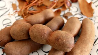 How to Eat Tamarind (Indian Date) 🌴 Tropical Fruit