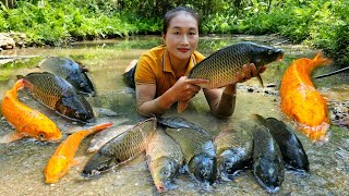 Catch fish & trap fish in the rainy season ( pond fish ) - Process of making lemongrass spring rolls