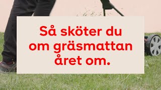 Så sköter du om gräsmattan året om