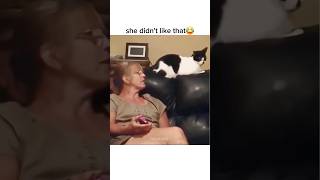 Funny Animals 2024 😂 - Funniest Cats and Dogs video 🐱 🐶 Part 131 #shorts