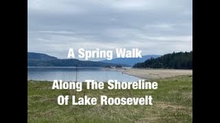 A Spring Walk Along The Shoreline Of Lake Roosevelt