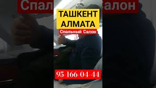 Алматы Ташкент спальный автобус951660444 #алматы #ташкент #спальныйсалон #автобус #migrantlarhayoti