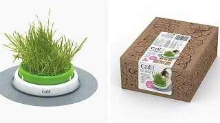 Трава для кошек выросла, дегустация! Марки Catit senses grass planter!