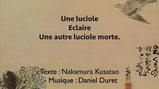 Animal haiku -Luciole