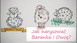 Jak narysować Baranka? Jak narysować Owcę?