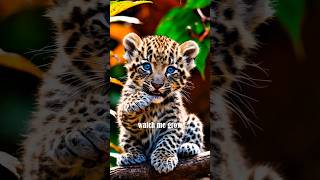 From Cuteness To Danger Adorable Baby Animals That Grow Into #FiercePredators #watchmegrow