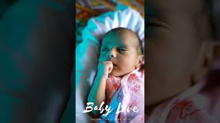 Very Cute Baby Girl WhatsApp Status Video | New Born Baby Status | Cute Baby Video