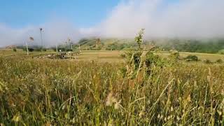 the beauty of the fog #nature                  زیبایی‌ مه #طبیعت