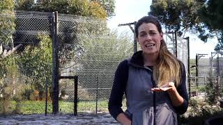 Interview with Staff at our Big Cat Sanctuary Project, South Africa