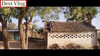 Desi Village Life Rajasthan Vlog | Chach Bilona🥛 | Milking of cow 🐄| Pure Ghee of bilona