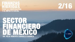 Estructura y características del Sector Financiero de México