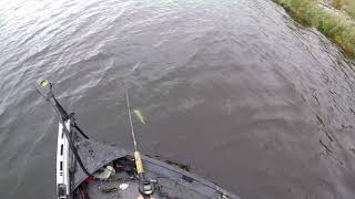 Musky Fishing