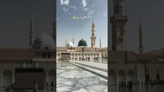 Tamanna muddaton SA ha | Jamal e Mustafa | new naat | famous naat #shorts #love #naat #madina