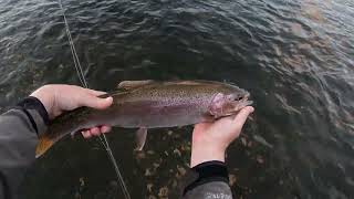 Pre-guide trip - Part Two    -  fluorocarbon tippet dry fly fishing?