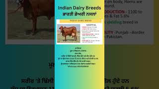 Indian Dairy Breeds ਭਾਰਤੀ ਡੇਅਰੀ ਨਸਲਾਂ Modern Kheti  #modernkheti #sahiwal #sahiwalcows #a2milkcow