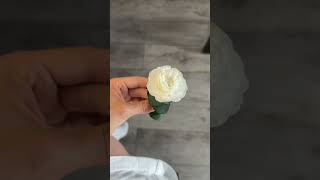 РАСКРЫТИЕ РОЗЫ СТАБИЛИЗИРОВАННОЙ | ИДЕЯ КРЕПЛЕНИЯ НА НОЖКУ #flower #florist #amor #цветы #rose