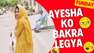 Aj Bakray ko Nehlaya aur Tehlaya Bhi | Bakra Eid 2023