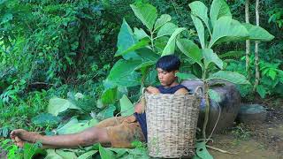 Jungle my life | Sleeping Man and met crocodile | Cook crocodile eggs with banana for Eating