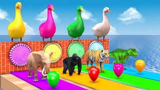 4 Giant Duck Cartoon,Tiger,Cow,rabbit,Gorilla,Hamsters,Dog,Cat Wild Animal Crossing Fountain 2023