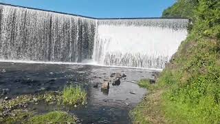 Goose Dam at East Rock Park