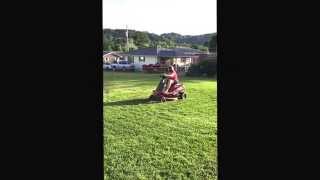 Chasing Dogs on a Lawnmower