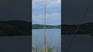 Белгородское водохранилище. Belgorod reservoir. #белгород  #природа #belgorod