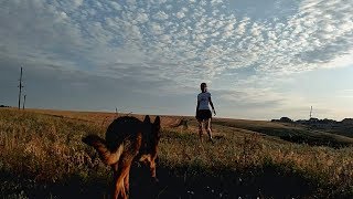 Mariupol | Walking with a dog