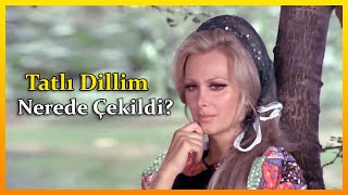 Tatlı Dillim Filmi Nerede Çekildi? ◀️ TÜM MEKANLAR