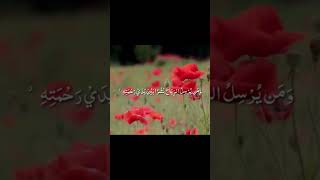 قران كريم ارح سمعك تلاوة خاشعة الشيخ ياسر الدوسري #ياسر_الدوسري #اكسبلور #قرآن #youtubeshorts