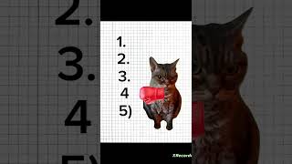 У кого жиза? #youtube #cat #polly_k #рекомендации #подписки